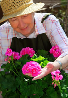 Active senior citizen gardening